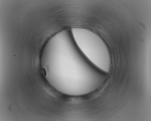 X0000114580508200910191057