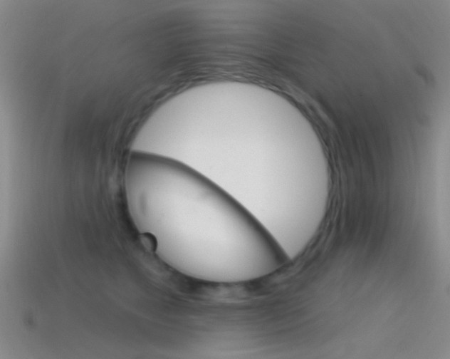 X0000114580517200910191057
