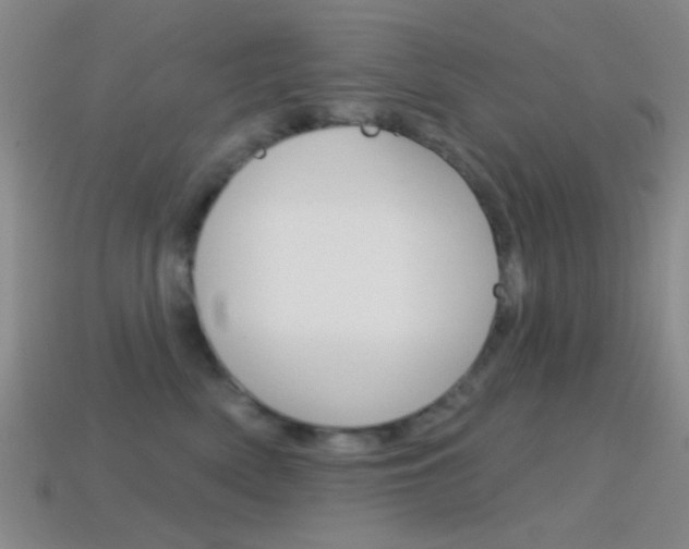 X0000114580522200910191057