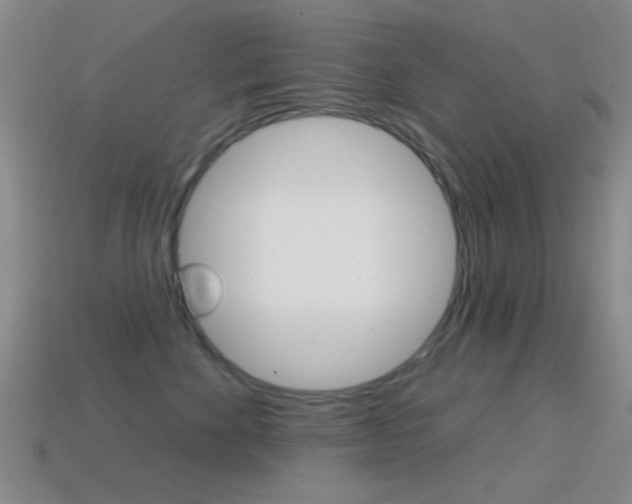 X0000114580524200910191057