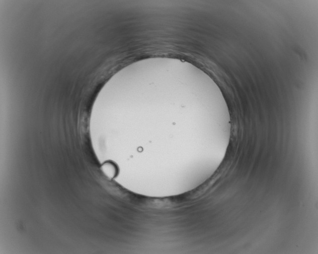 X0000114580525200910191057