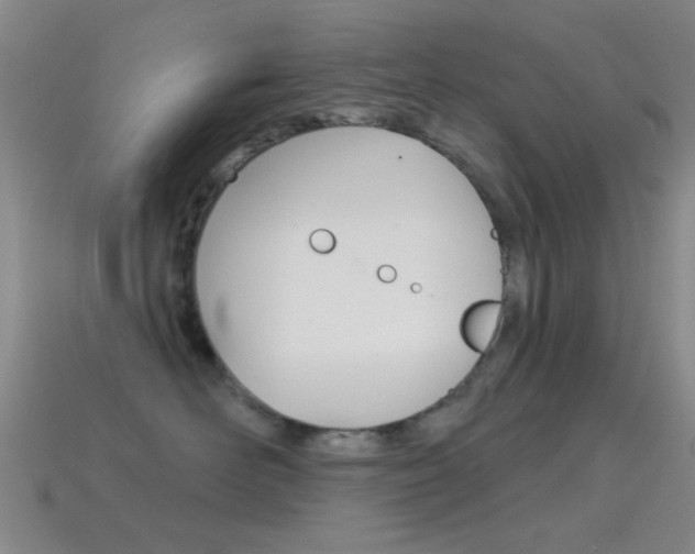 X0000114580526200910191057