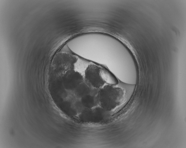 X0000114580529200910191056