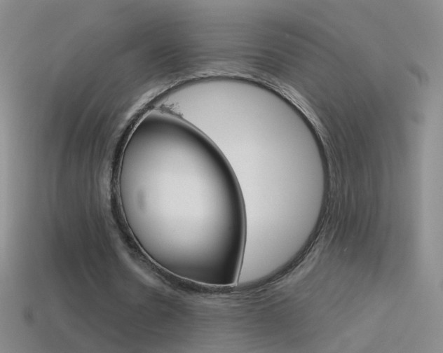 X0000114580530200910191056