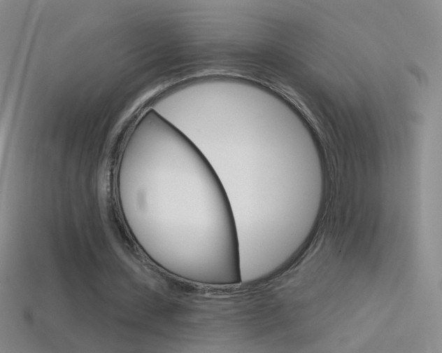 X0000114580531200910191056