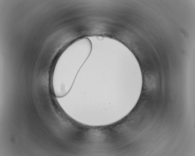 X0000114580534200910191056