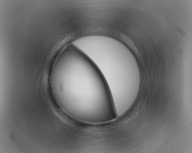 X0000114580538200910191056