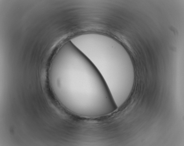 X0000114580539200910191056
