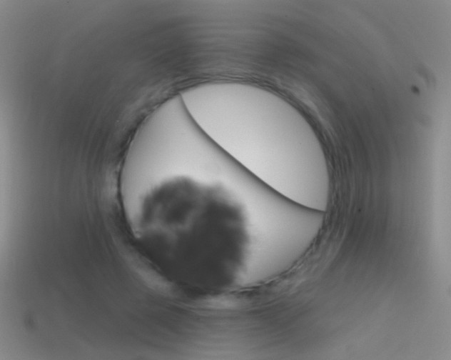 X0000114580545200910191056