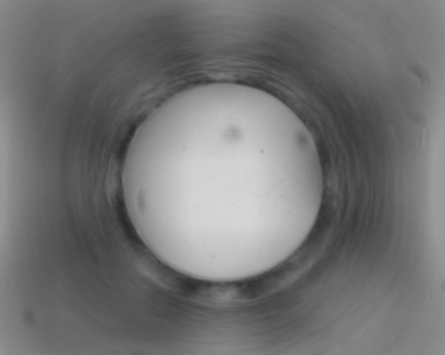 X0000114580554200910191057