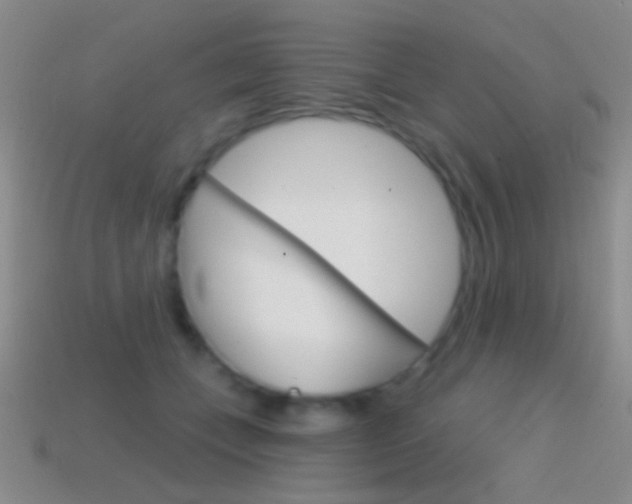 X0000114580559200910191057