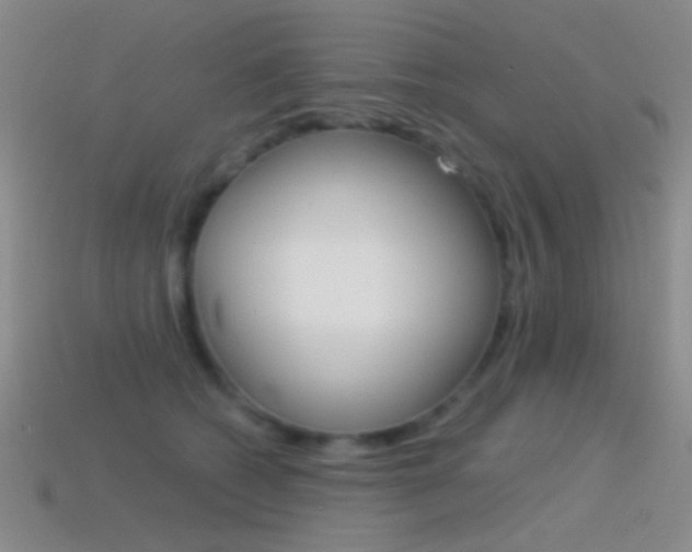 X0000114580562200910191057