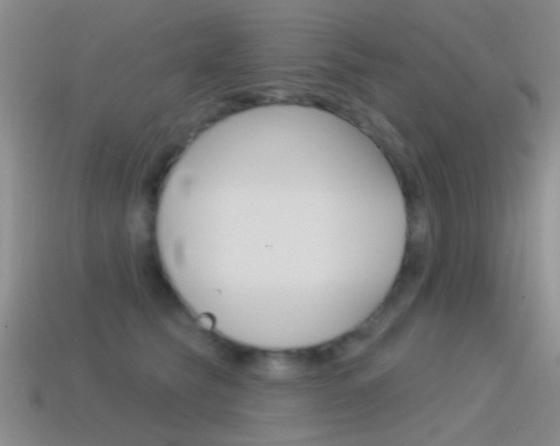 X0000114580565200910191057