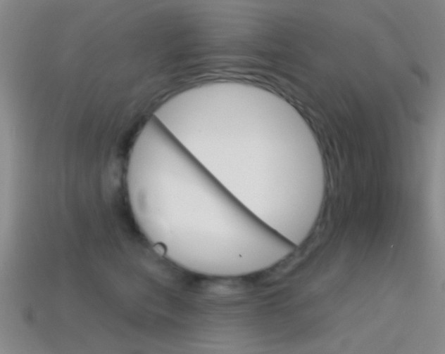 X0000114580567200910191057