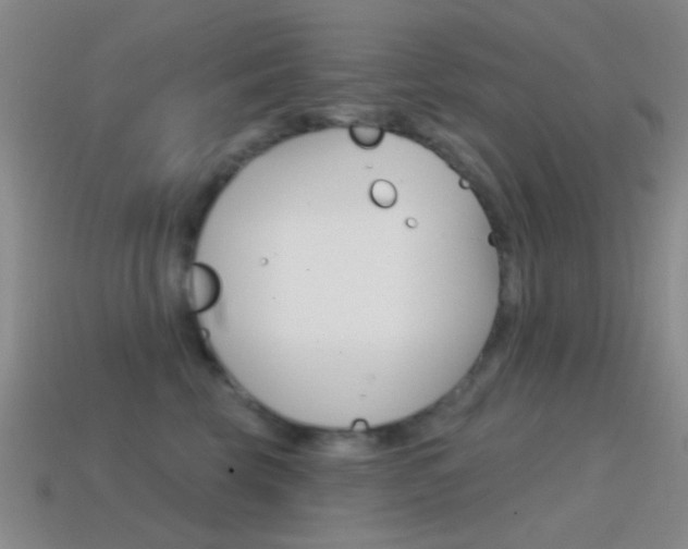 X0000114580569200910191057