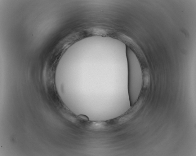 X0000114580573200910191057