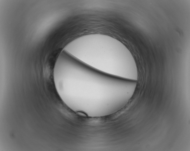 X0000114580574200910191057