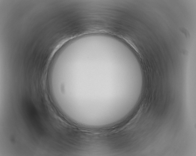 X0000114580579200910191056