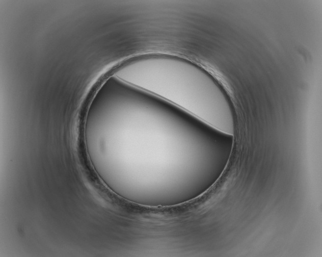 X0000114580580200910191056