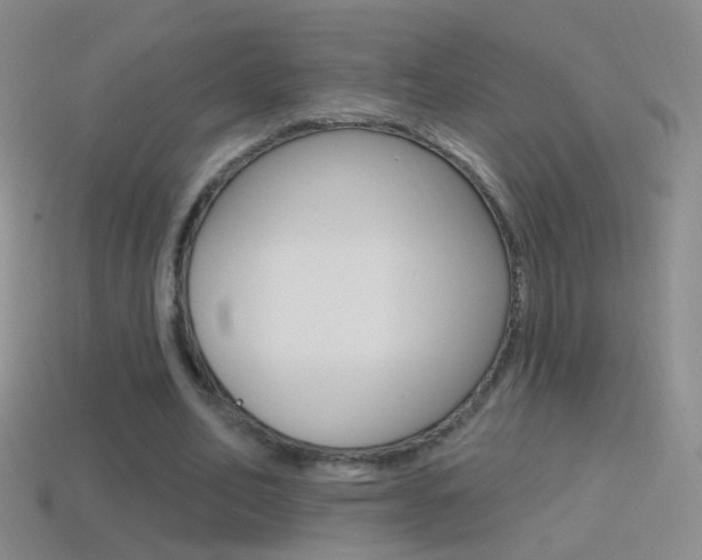 X0000114580582200910191056
