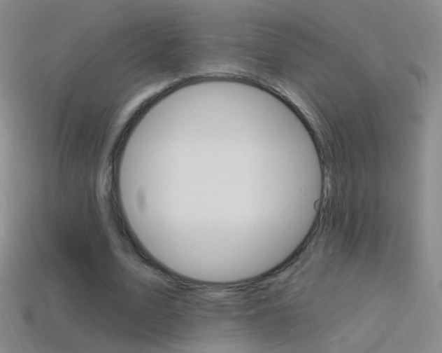 X0000114580583200910191056