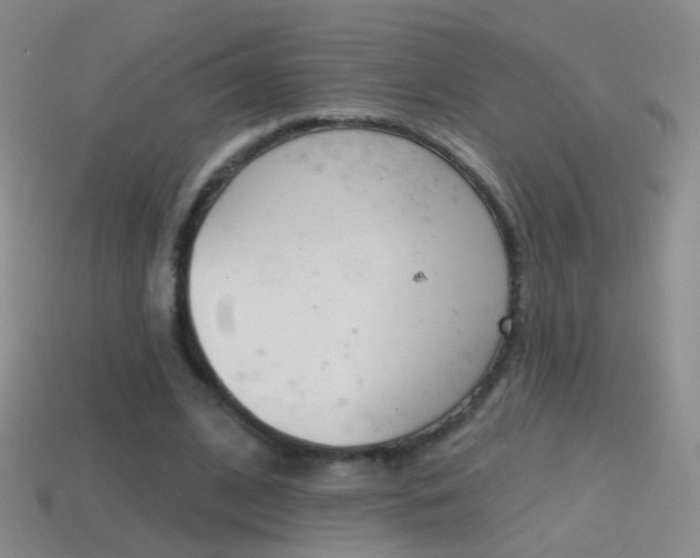 X0000114580584200910191056