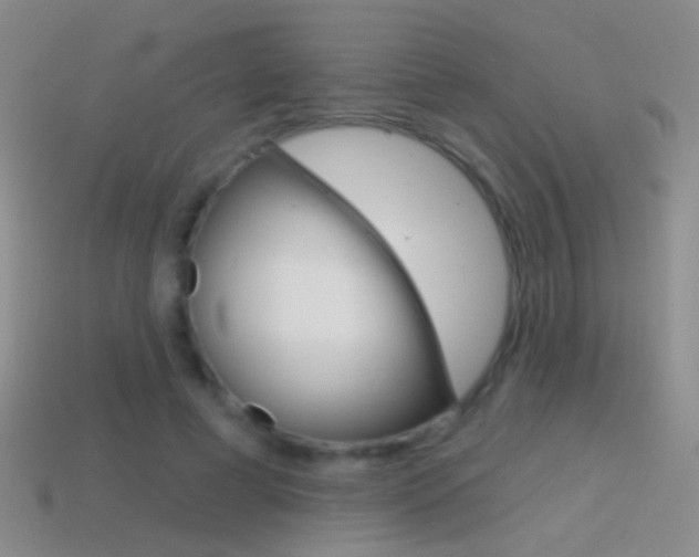 X0000114580593200910191056