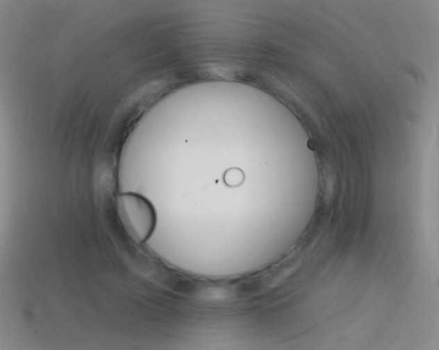 X0000114580595200910191056