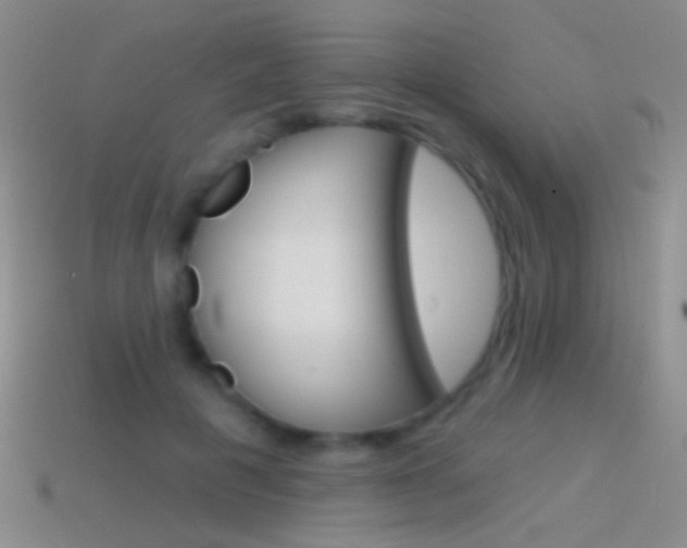 X0000114580601200910191056