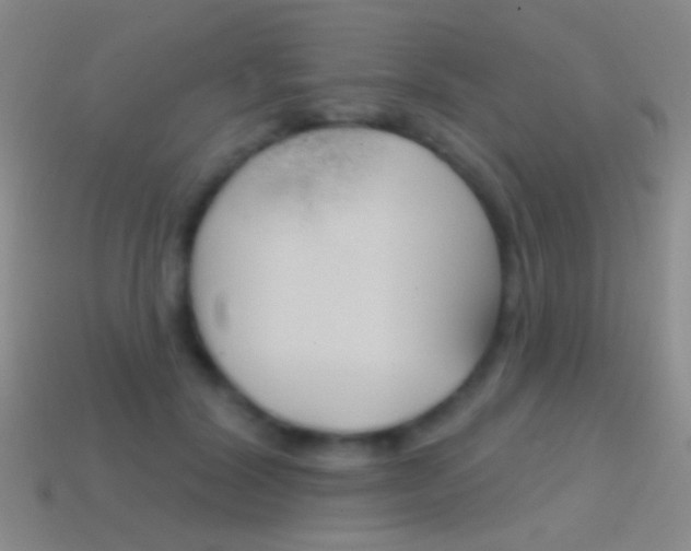 X0000114580604200910191056