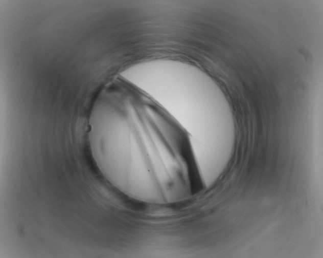 X0000114580605200910191056