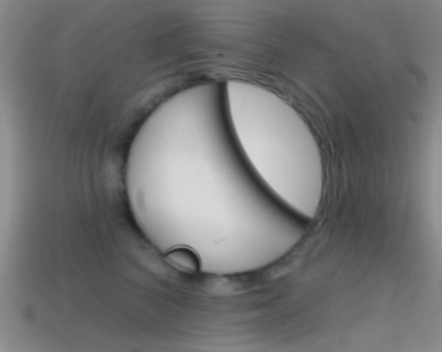 X0000114580616200910191056