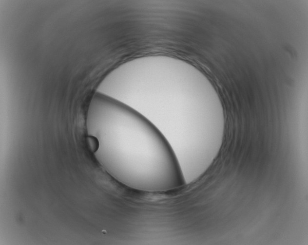 X0000114580617200910191056