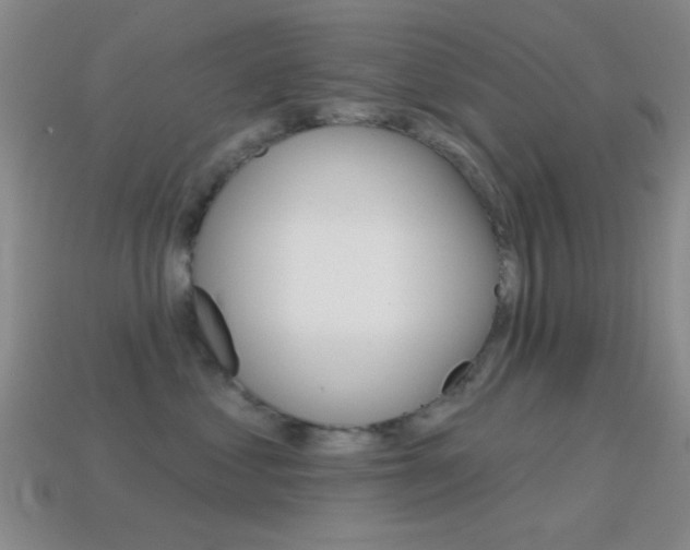 X0000114580621200910191056
