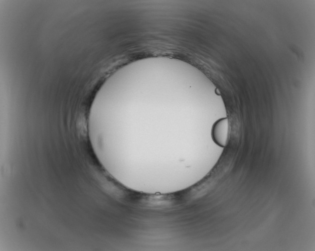 X0000114580622200910191056