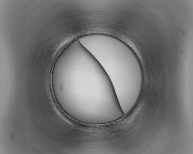 X0000114580625200910191055