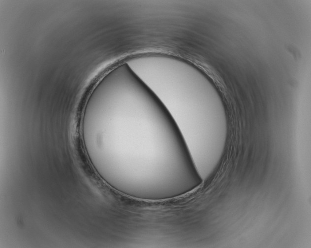 X0000114580628200910191055