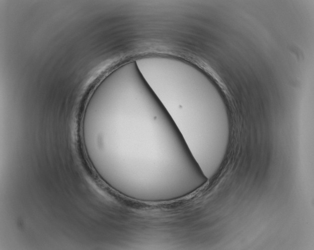 X0000114580629200910191055