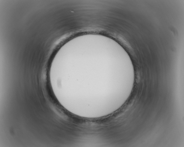 X0000114580632200910191055