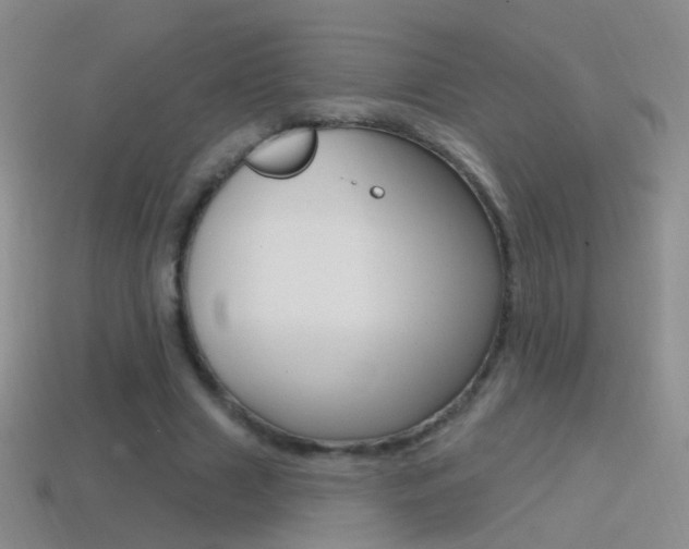 X0000114580633200910191055