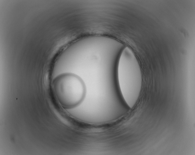 X0000114580638200910191055