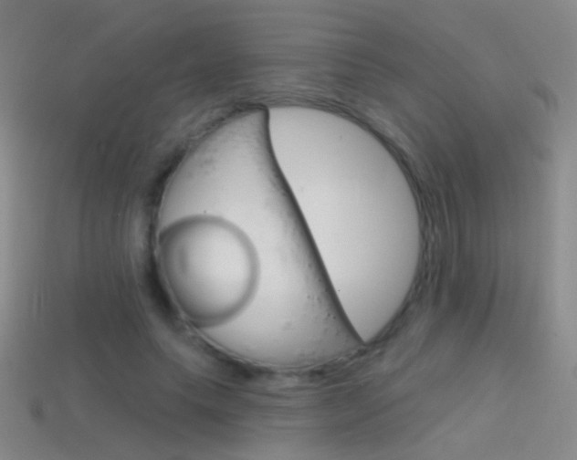 X0000114580639200910191055