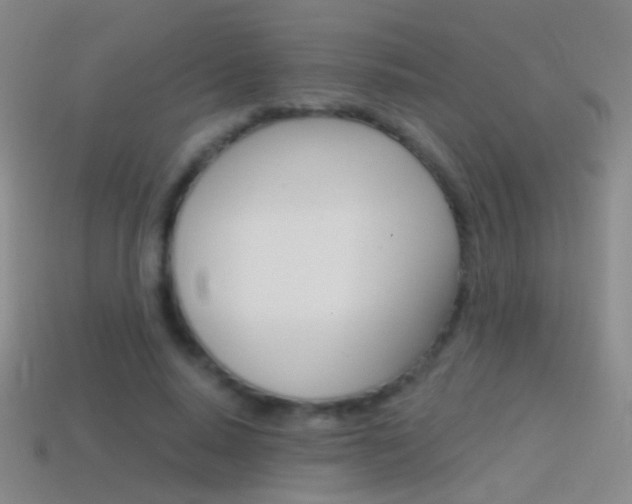 X0000114580640200910191055