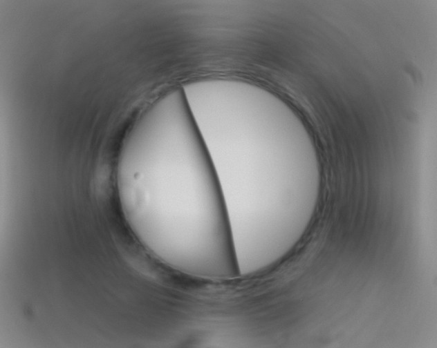 X0000114580641200910191055