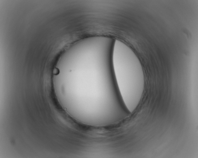 X0000114580642200910191055