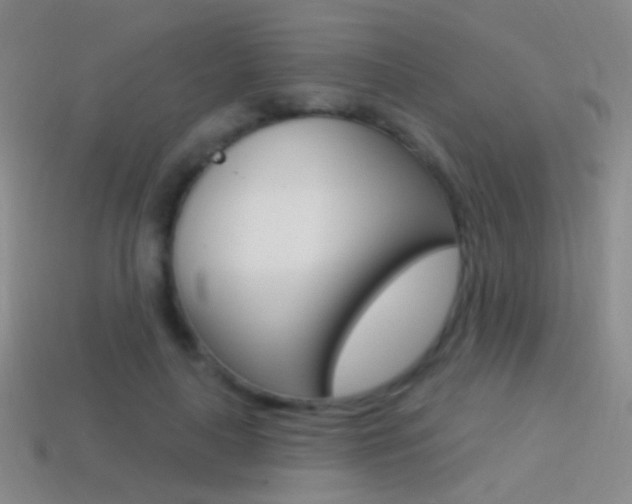 X0000114580643200910191055