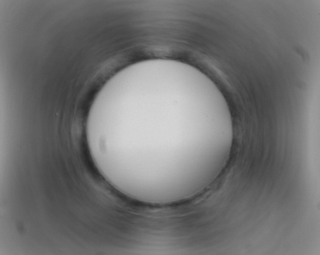 X0000114580645200910191055