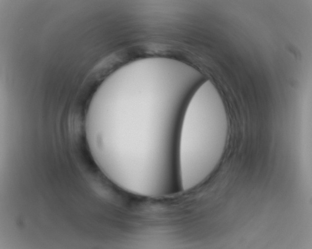 X0000114580648200910191055