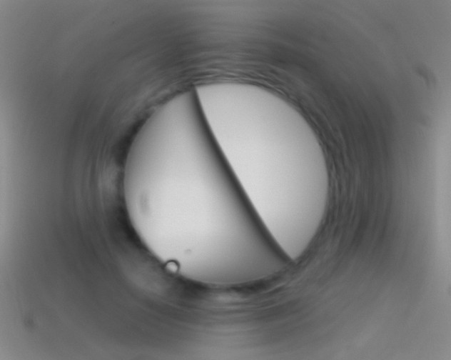 X0000114580650200910191055