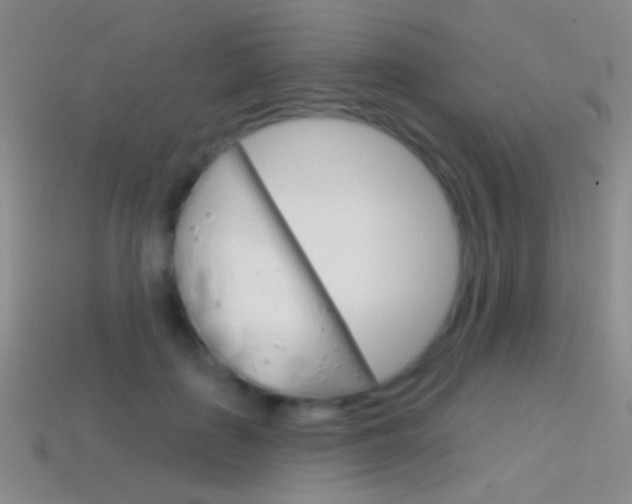 X0000114580651200910191055
